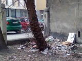 Śląskie: Przyszła wiosna, a na ulicach pełno śmieci [ZDJĘCIA]