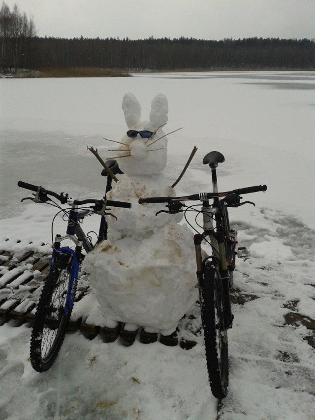 Bałwan z uszami zająca w towarzystwie rowerów - to dzieło  rowerzystów którzy zmierzyli się z zaśnieżonymi nadwarciańskimi ścieżkami  w okolicy Murowanej Gośliny