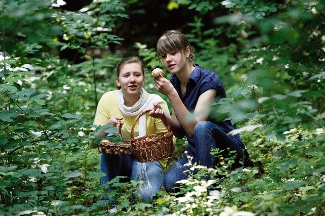 Paulina Bartkiewicz i Aleksandra Furmanowicz na grzybach