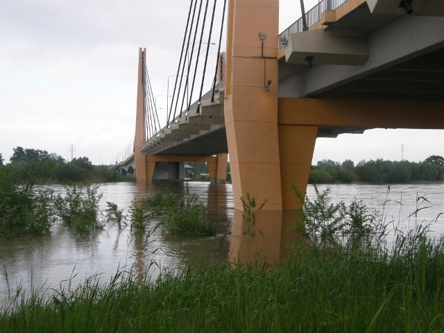 Pod Mostem Milenijnym, 2010.05.20 g. 16:00