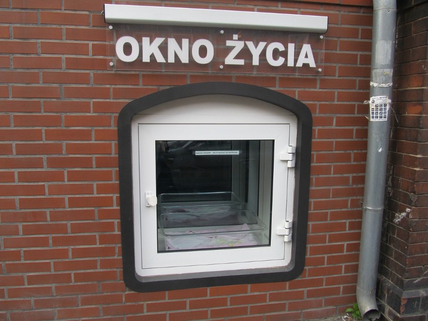 Wrocław: Dowcipnisie otwierają bez potrzeby okno życia