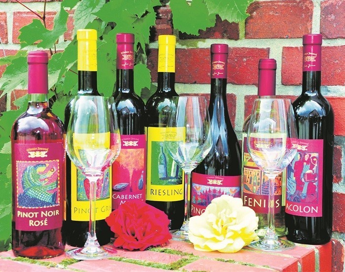 Wino śląskie - pierwsze wzmianki o uprawach winorośli na...