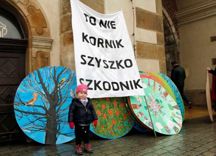Kraków. Protestowali przeciwko wycince Puszczy Białowieskiej [ZDJĘCIA]