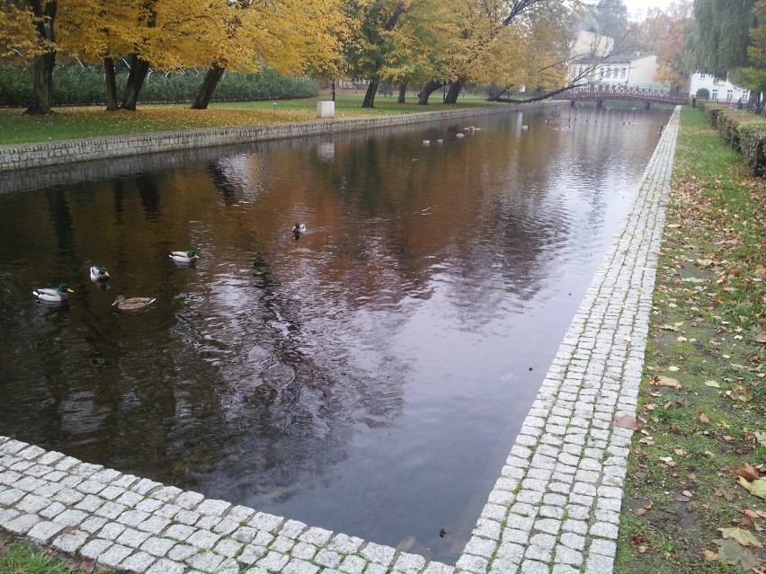 Jesień w parku Majkowskiego w Wejherowie