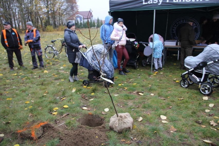 Ogólnopolska akcja "Jedno dziecko-jedno drzewo" w Złotowie