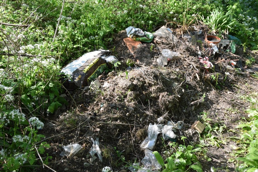 Sterty śmieci przy Wisłoce na osiedlu Kaczorowy w Jaśle. Donice, słoiki, pędzle, butelki [ZDJĘCIA]