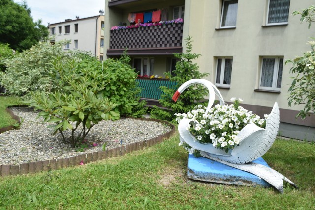 Pięknie jest przed blokiem przy ul. 26 Marca w Wodzisławiu Śl. 

Zobacz kolejne zdjęcia. Przesuwaj zdjęcia w prawo - naciśnij strzałkę lub przycisk NASTĘPNE