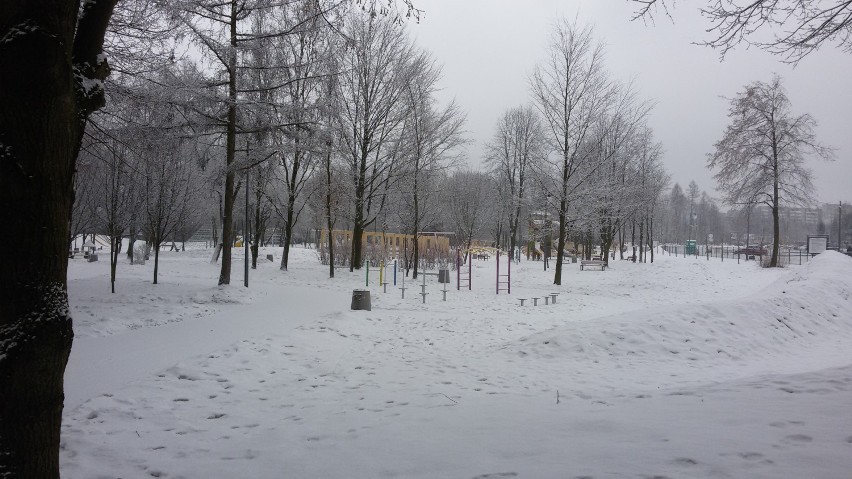Park w Kazimierzu w zimowej szacie [ZDJĘCIA]