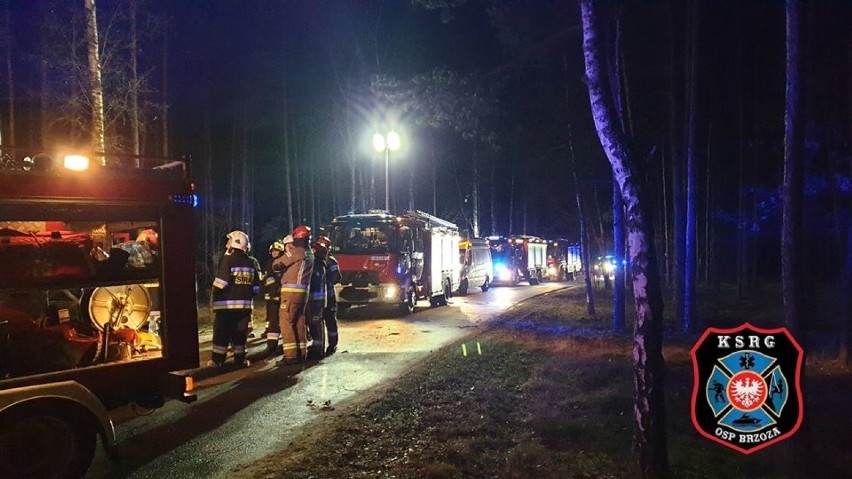 W tragicznym wypadku niedaleko Brzozy zginęła jedna osoba.