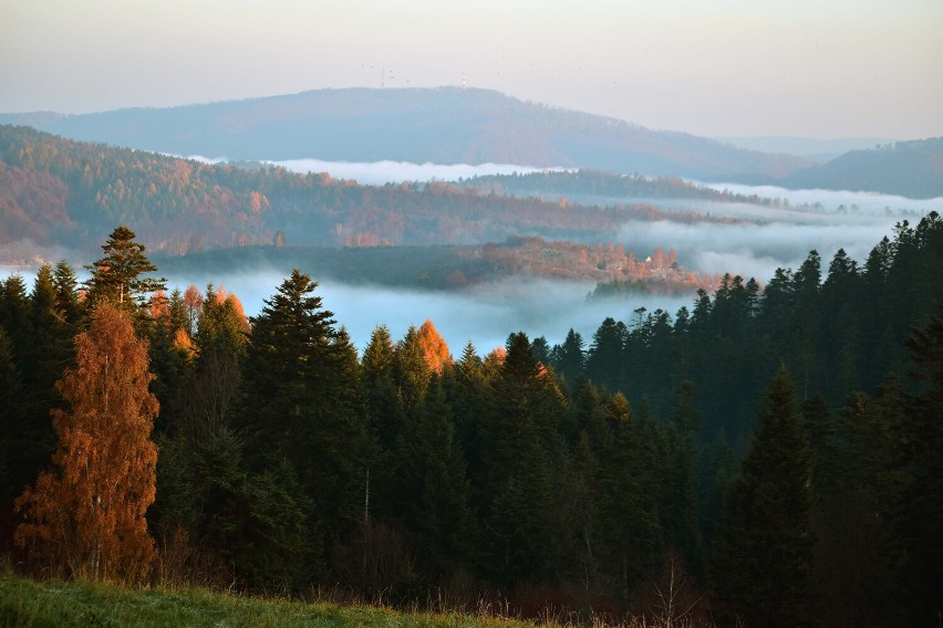 Słoneczny, mroźny a miejscami mglisty ranek w Bieszczadach [ZDJĘCIA]