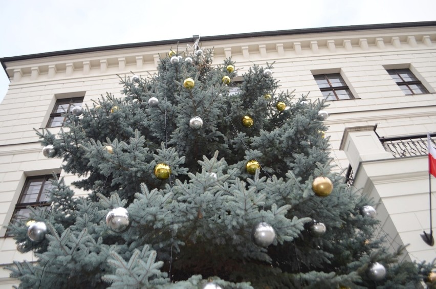 Na Rynku stanęła dorodna choinka