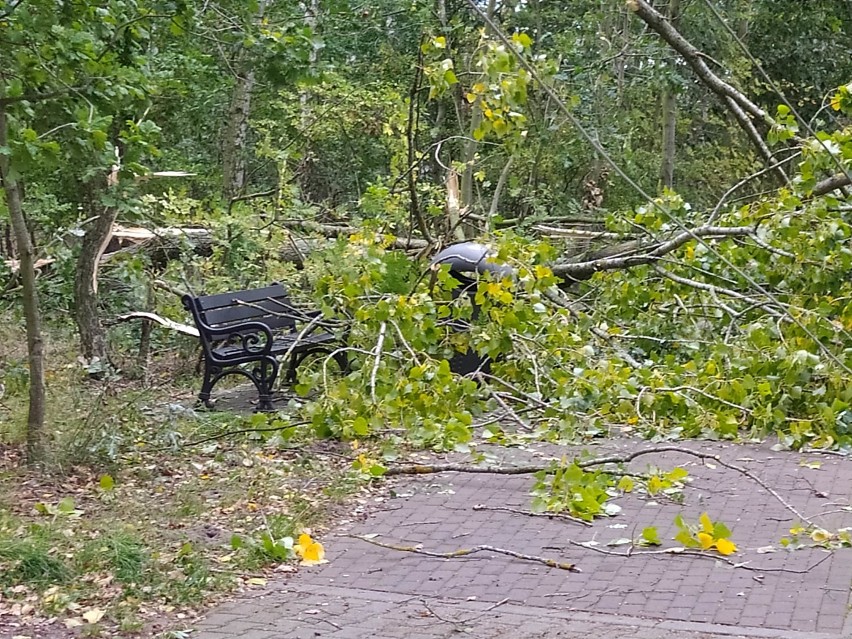 Wichura nad Świnoujściem. Zerwana linia energetyczna. Mieszkańcy bez prądu