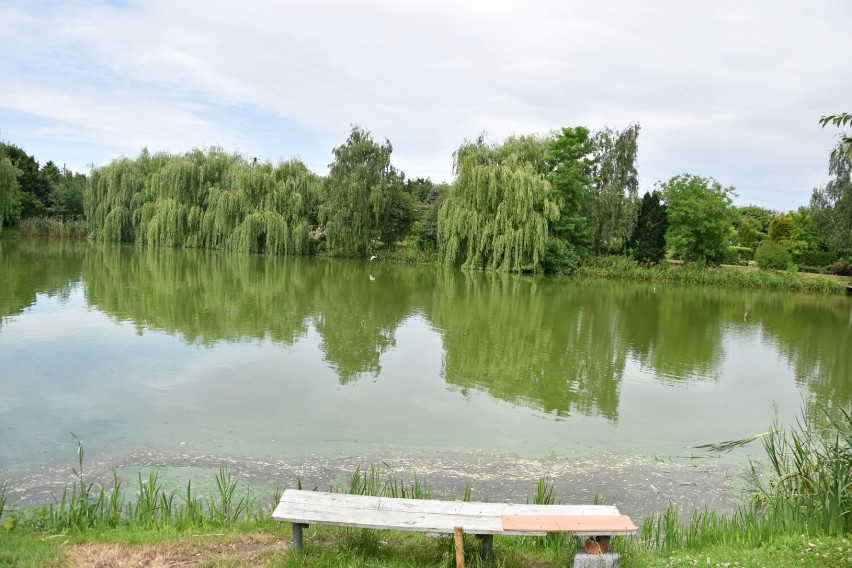 Gniezno: ROD im. Bolesława Chrobrego [03.07.2021]