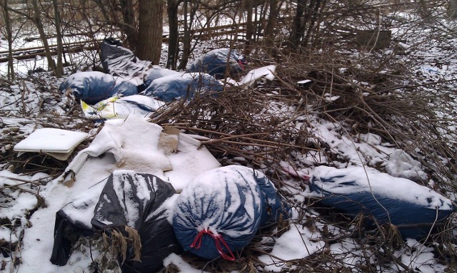 Katowice walczą ze śmieciami w lasach. Niestety, jedyne oręże ...