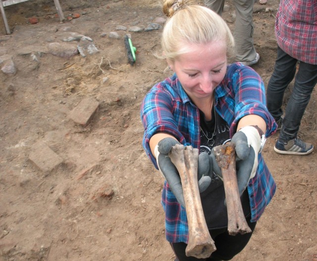 Znalezione przez archeologów kości to najprawdopodobniej dawne.... łyżwy