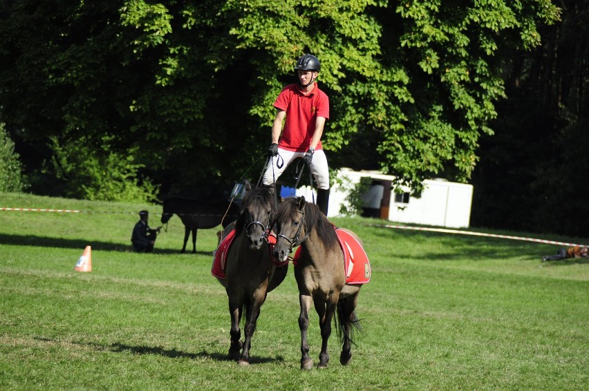 Sieraków - Tarpaniada 2013