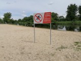Będzie strzeżone kąpielisko na Przystani w Tomaszowie, ale tylko w wakacyjne weekendy...