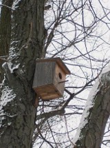Nowe budki lęgowe dla ptaków w Parku Skaryszewskim