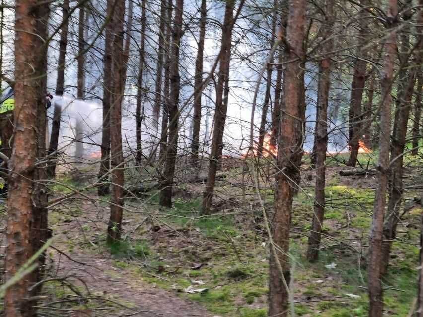 Pożar lasu we Wronkach. W działaniach brały udział trzy zastępy OSP