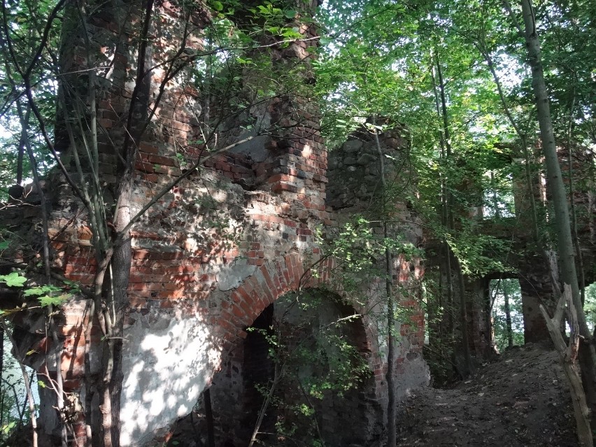 Mirocin Górny - ruiny pałacu