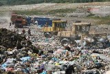 Na nielegalne wysypiska nie trafiło 80 ton śmieci