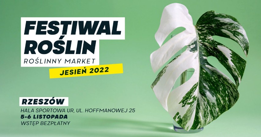 Festiwal Roślin w Rzeszowie - wielki market roślin w super cenach