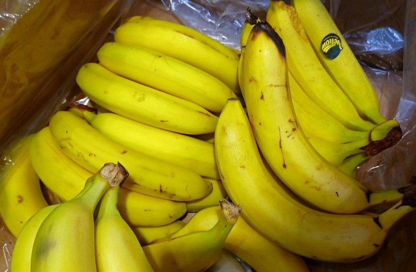 1 kg bananów w sieciach handlowych typu Aldi, Auchan,...