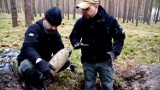 Bolesławiec : Operacja „Condor” - samolot widmo