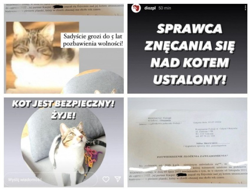 Sadysta zatrzymany przez policję z Oksywia za dręczenie kota został aresztowany. Wieszał zwierzę na kablu, bił, chwalił się tym w internecie