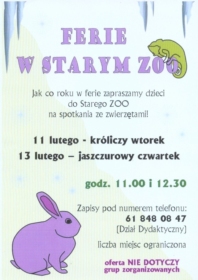 Zima w mieście: Ferie w Starym Zoo w Poznaniu