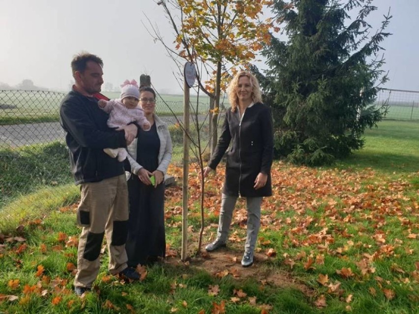 Akcja „Drzewko Życia” w gminie Śmigiel przełożona na 2021 rok