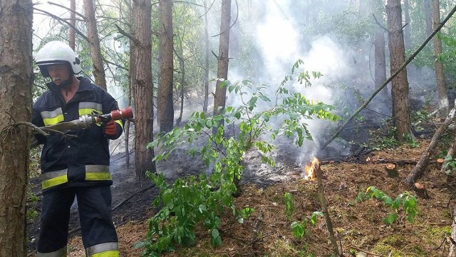 W poniedziałek, 2 lipca, o godz. 15.45 zawyły syreny w remizach w Świniarach i w Skwierzynie. Strażacy z obu miejscowości zostali wezwani do pożaru ściółki leśnej koło wsi Wiejce w Puszczy Noteckiej.