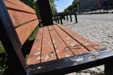 Gołębie problemem na ścieżce historycznej w Malborku. Urzędnicy sprawią, że ludzie będą mogli usiąść?