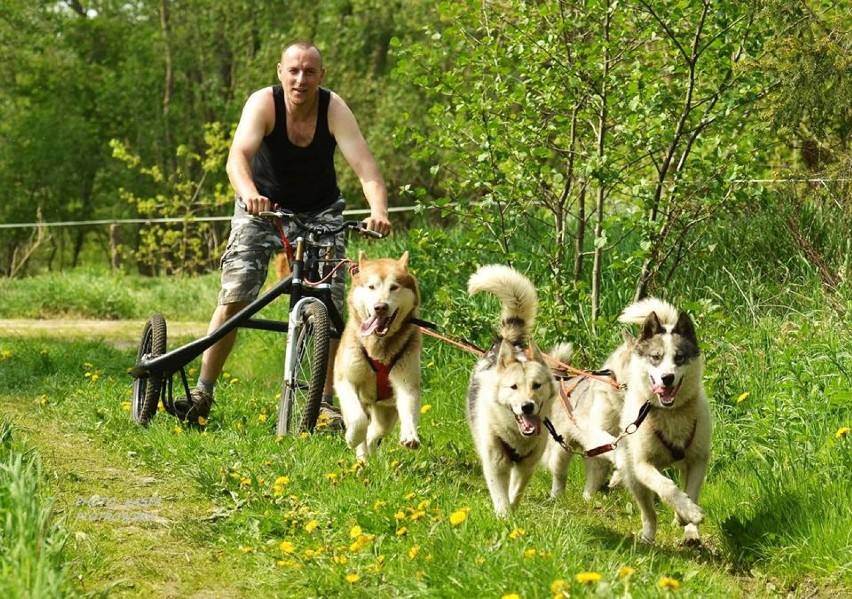 Wielobój Maszerski w Kaszubskiej Alasce - zdjęcia z 2013...