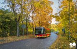 Zmiany w kursowaniu autobusów w Bielsku-Białej we Wszystkich Świętych. 1 listopada specjalny rozkład jazdy linii nr 7 