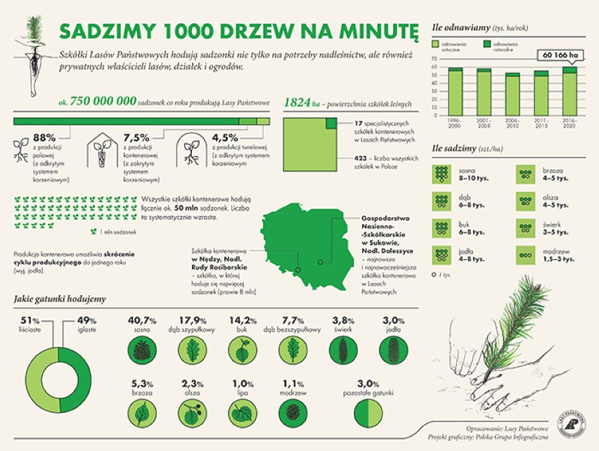 W piątek 30 września posadź w Złotowie drzewo z Prezydentem RP i leśnikami 