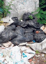 Ekologiczny patrol: Śmiecici przy ul. Henryka Sienkiewicza