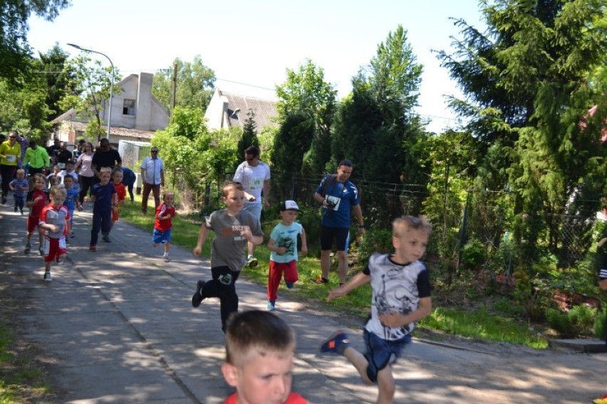 W VI Wojewódzkim Biegu Żuławskim Brzegiem Motławy wzięło udział 350 miłośników biegania od lat trzech do 84 [ZDJĘCIA]