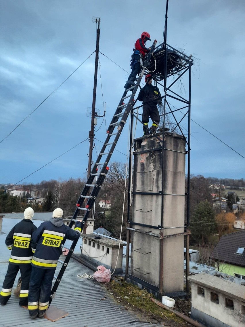 Uwili gniazdo bocianom na budynku urzędu gminy. Zobaczcie zdjęcia!