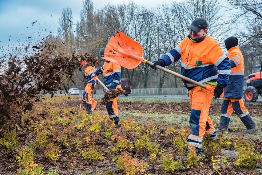 Nowe drzewa, krzewy i kwiaty posadzono wzdłuż al. Solidarności (ZDJĘCIA) 