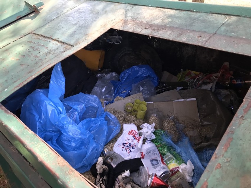 Więźniowie sprzątali śmieci wokół Zalewu Sulejowskiego