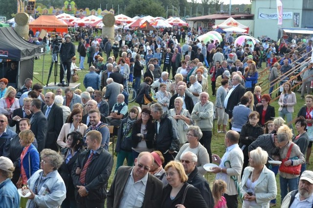 Wielkopolskie Święto Plonów w Michałkowie