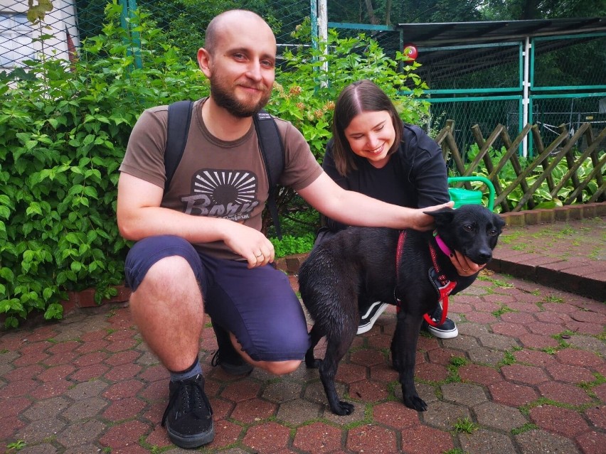 Toruń. Oni adoptowali psy ze schroniska. Dzięki tym osobom zwierzęta mają nowy dom