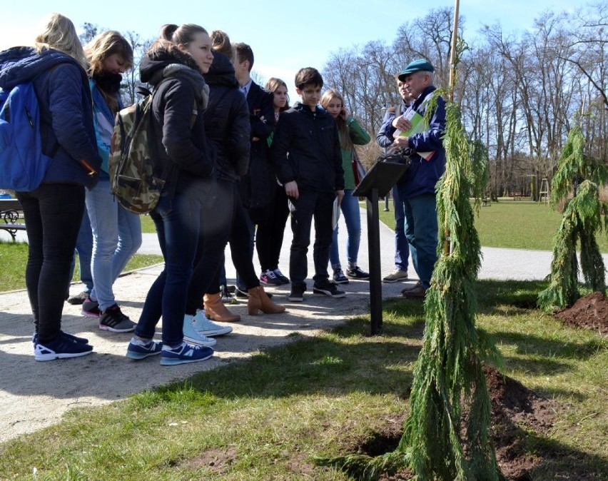 Seniorzy z UTW w Wejherowie w Parku Miejskim zasadzili cyprysiki [ZDJĘCIA + VIDEO]