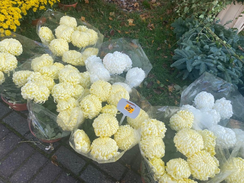Kwiaciarnia na ul. Parkowej w Sycowie