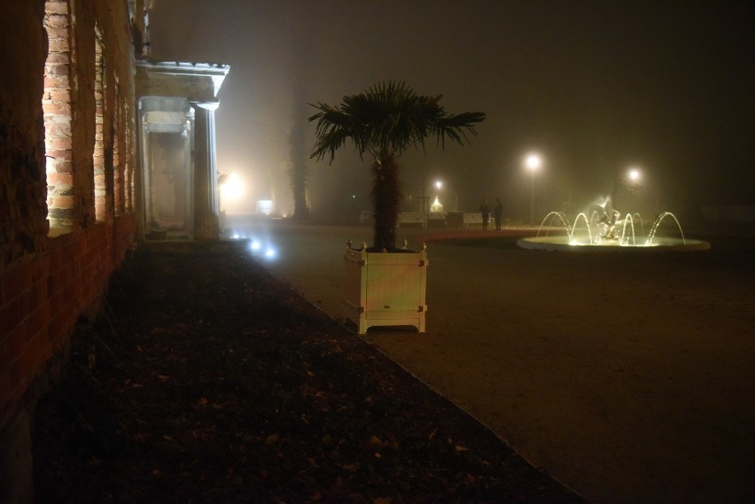 Pod czujnym okiem kamery jest też zielonogórski park i pałac...