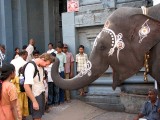 Bielscy globtroterzy jadą do Indii na Kumbh Mela