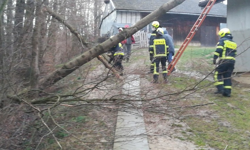 Za nami wietrzna noc. Strażacy usuwają powalone drzewa, pomagają przy uszkodzonych dachach