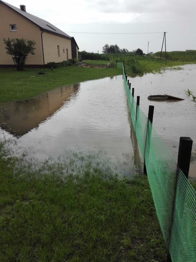 Woda na działkę Czytelniczki z Drzonowa zaczęła wlewać się, gdy sąsiad zasypał miejsce po zaschniętym bagnie