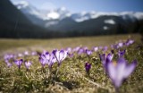 Pogoda w Łodzi i regionie na niedzielę, 16 kwietnia